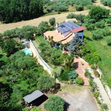 Elegant In With Private Pool *