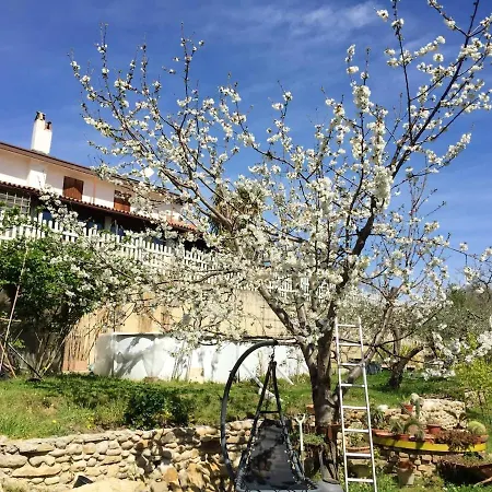 Elegant In With Private Pool * Treglio