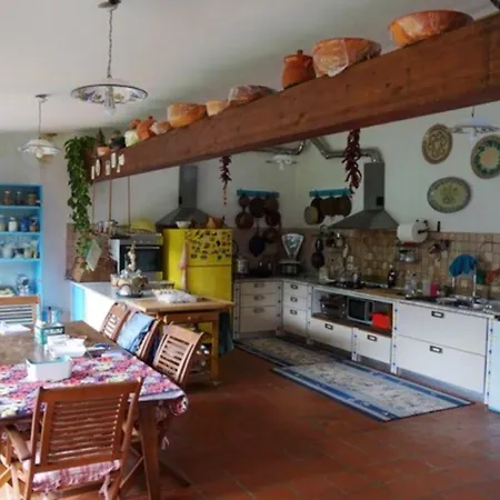 Elegant In With Private Pool