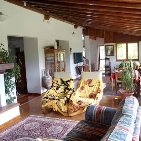 Elegant In With Private Pool *