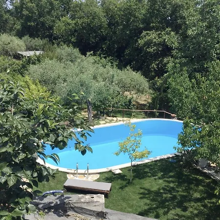 Elegant In With Private Pool