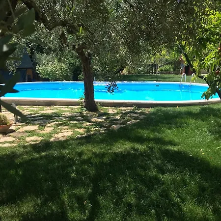 Elegant In With Private Pool *